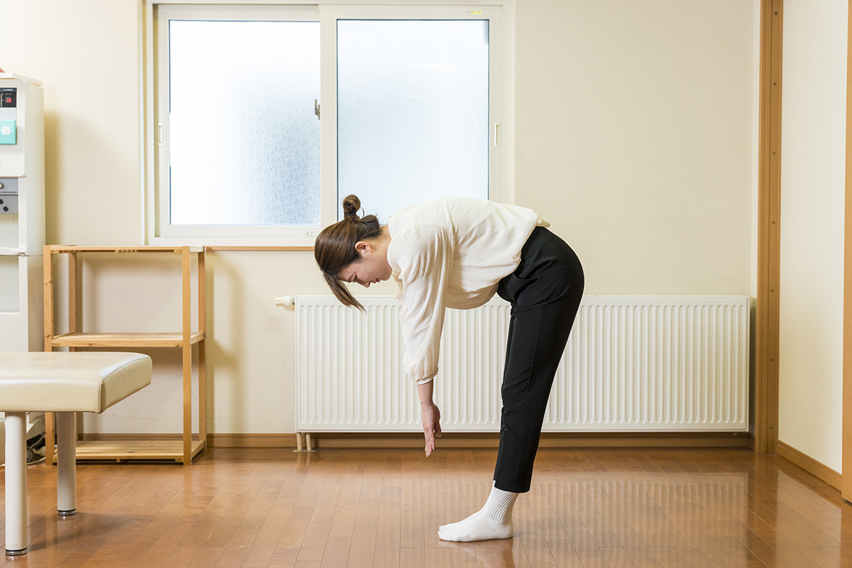 身体評価：体前屈